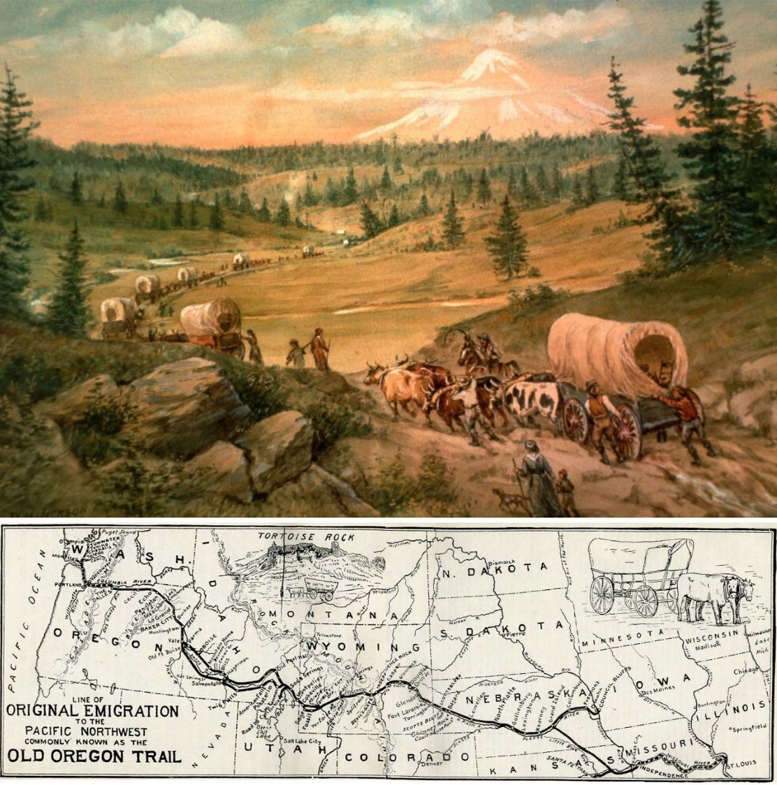Oregon had a halving schedule.

In the early 1840s, 640 acres of prime farmland were granted to each couple who arrived via the Oregon Trail.  One square mile.

In 1850, this was decreased to 320 acres.

In 1862, this was decreased to 160 acres.

The earlier a new adopter made