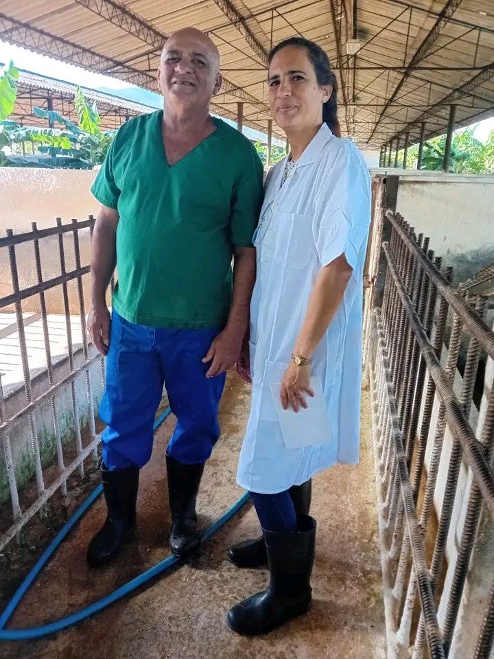 Investigadores y estudiantes de Ing. Geológica de <a href="/UniversidadMoa/">Universidad de Moa Dr. Antonio Núñez Jiménez</a> desarrollan investigaciones de alto impacto en sector estratégico al evaluar la calidad de las aguas de consumo animal en la UEB Cría porcino Moa. <a href="/yurisley_valdes/">Yurisley Valdes Mariño</a> <a href="/AlietLam/">Aliet Lamorú Reyes</a> <a href="/AAB_Cuba/">Alicia Alonso Becerra</a> <a href="/WalterBG_MES/">Walter Baluja García</a> <a href="/CubaMES/">MES</a>