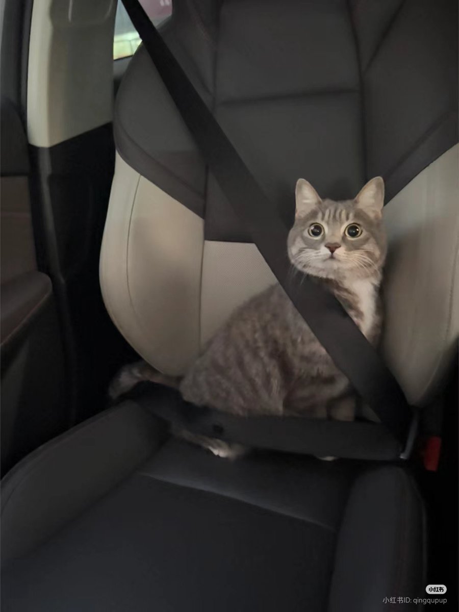 Safety first https://t.co/hJ7YaTSRpj