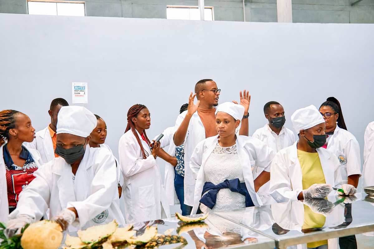 PSF | Specialized Cluster tweet media