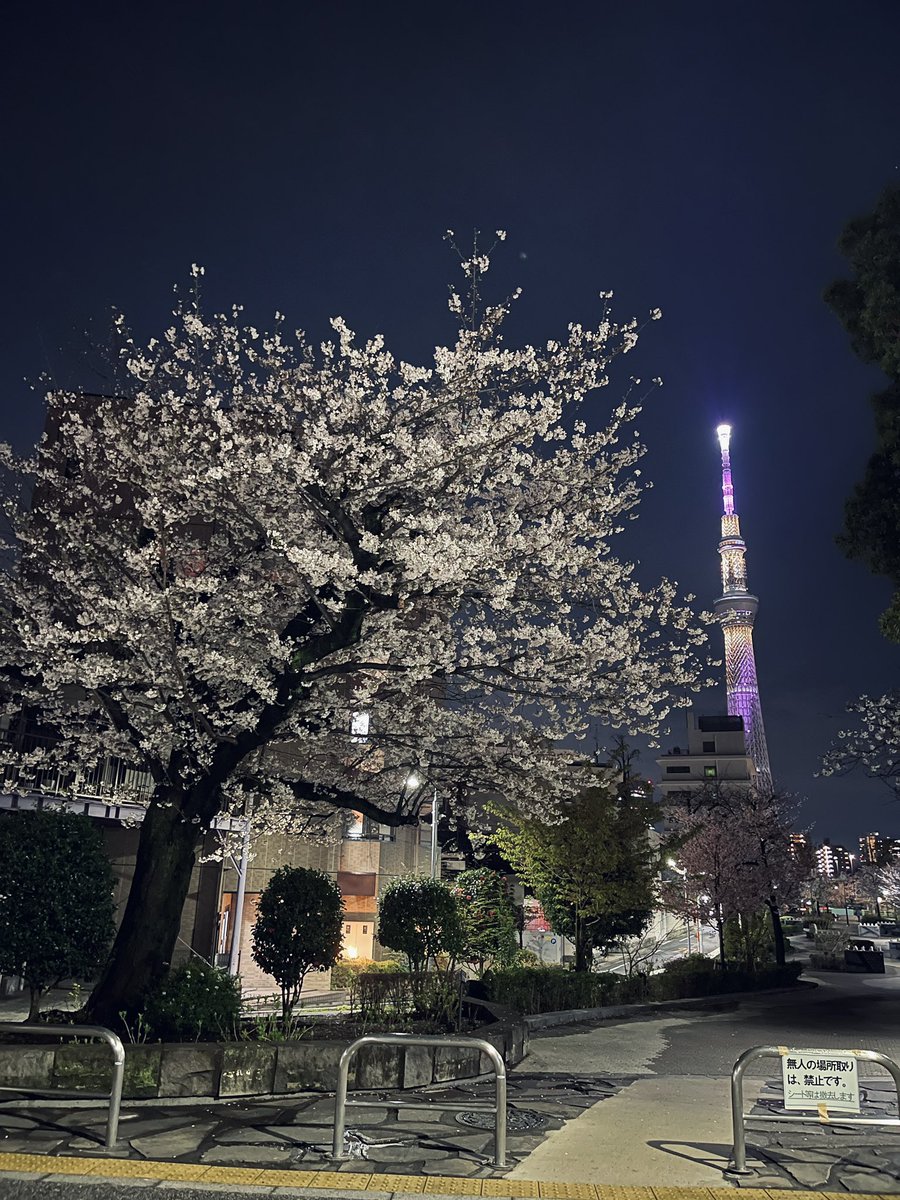 Kojun Kondo (@kombumochimochi) on Twitter photo 