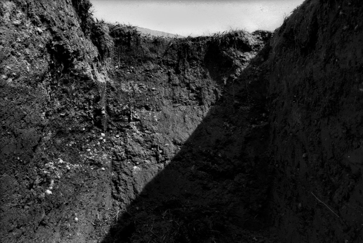 "When my time comes around
Lay me gently in the cold, dark earth
No grave can hold my body down
I'll crawl home to her" — Hozier