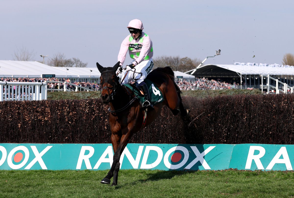 My Racing Tips tweet media