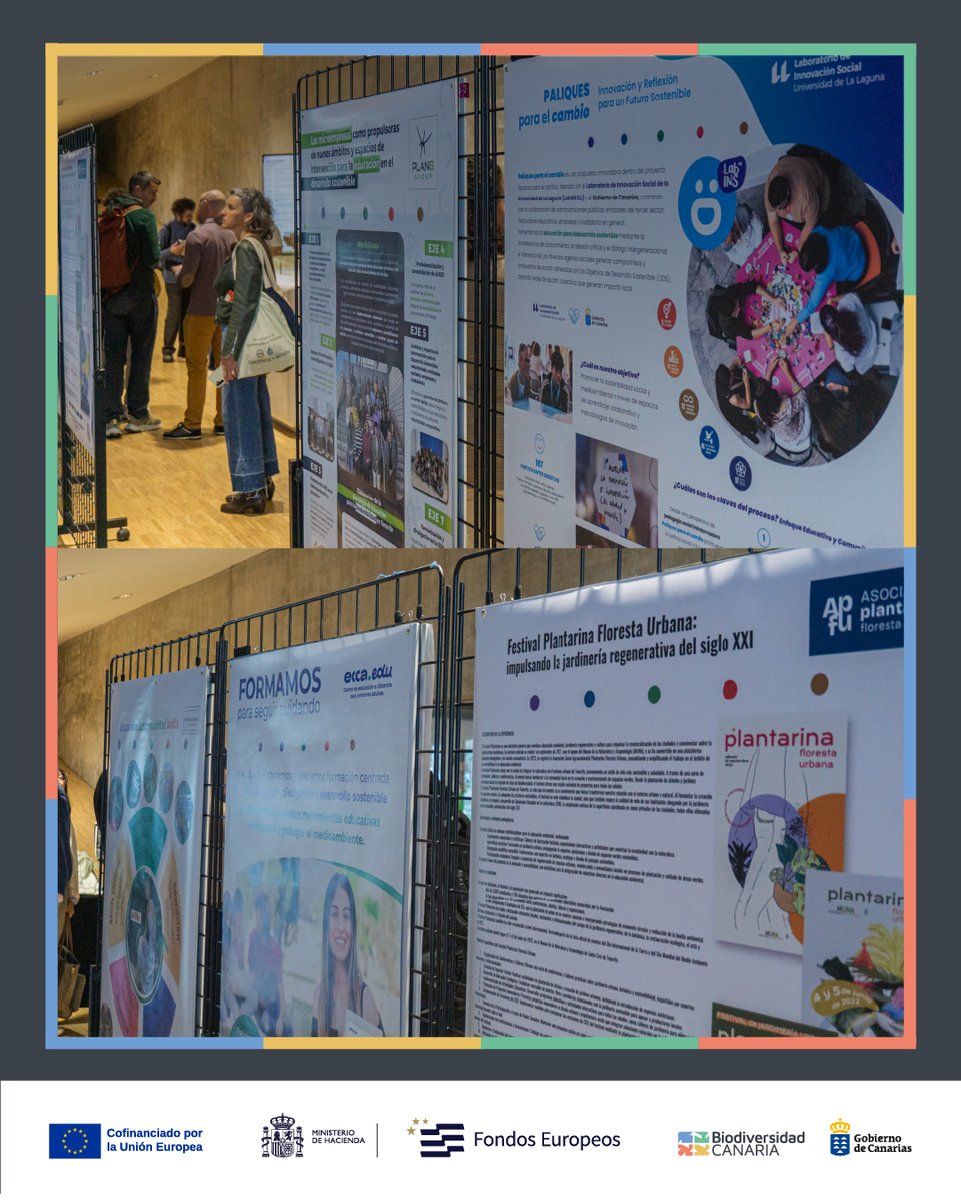 Biodiv_GobCan's tweet image. Presentamos “Divulgar para conservar” en las Jornadas de Educación para la Sostenibilidad ante el reto de la Agenda 2030 promovidas por el @CabildoTenerife. ⬇️

#BiodiversidadCanaria #EDS #EducaciónAmbiental #EducaciónParaLaSostenibilidad #SomosBiodiversidadCanaria