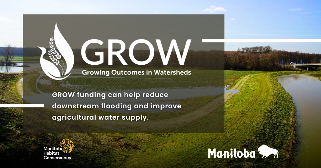 Water retention practices can reduce downstream flooding and improve agricultural water supply. Explore your funding options with GROW!

manitobawatersheds.org/grow

#GROW #GROWFundingMB #mbwatersheds