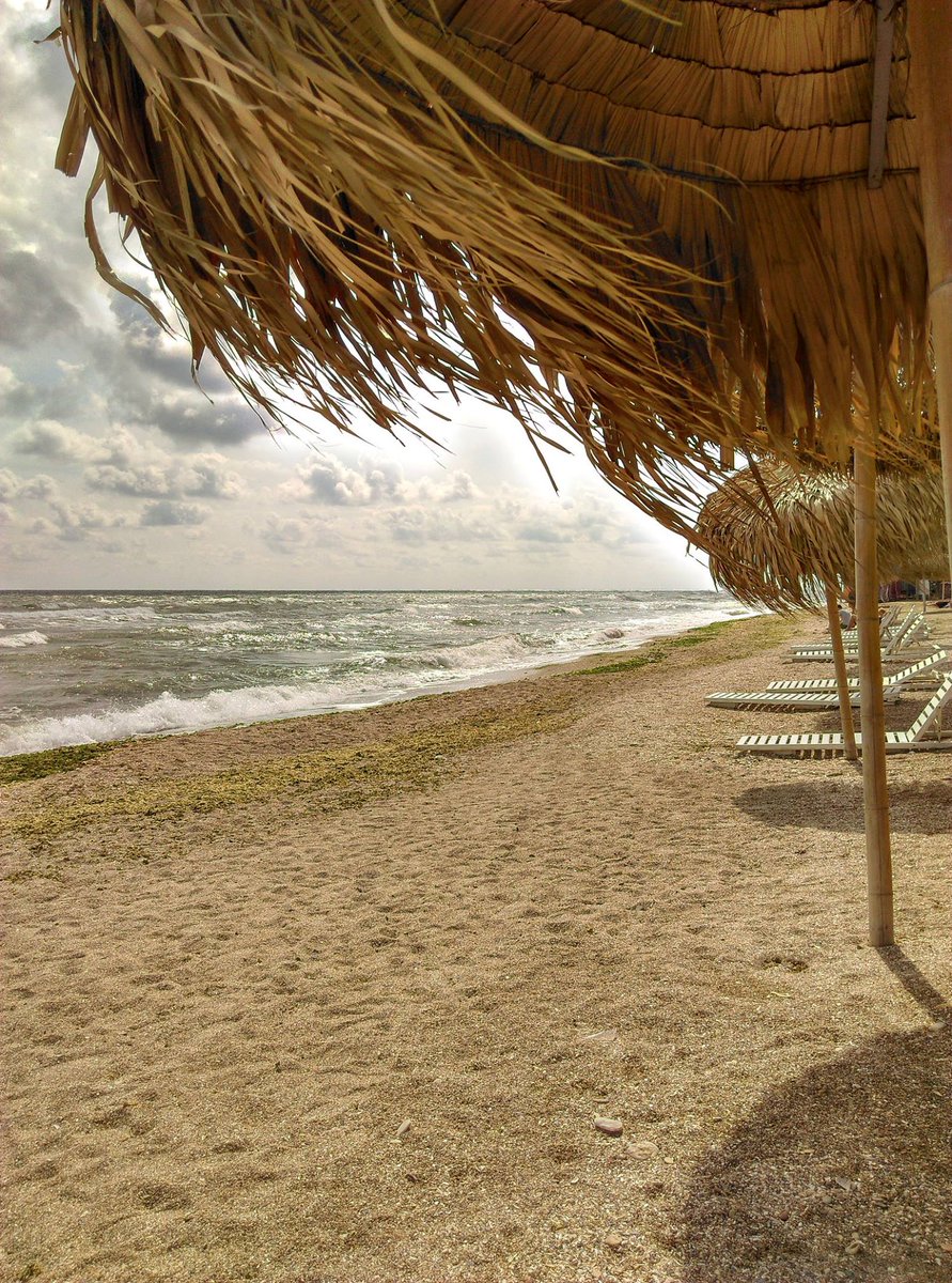 Vă e dor de mare? Am deschis înscrierile la 2 ateliere la Vama Veche: unul de proză, cu Eli Bădică, unul de poezie, cu Cosmin Perța. Detalii aici revdepov.ro/ateliere/