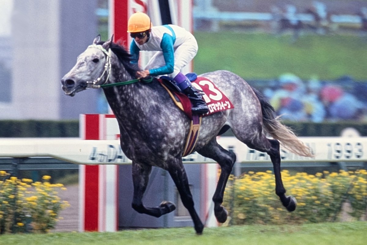 JRA-VAN公式 on X: 
