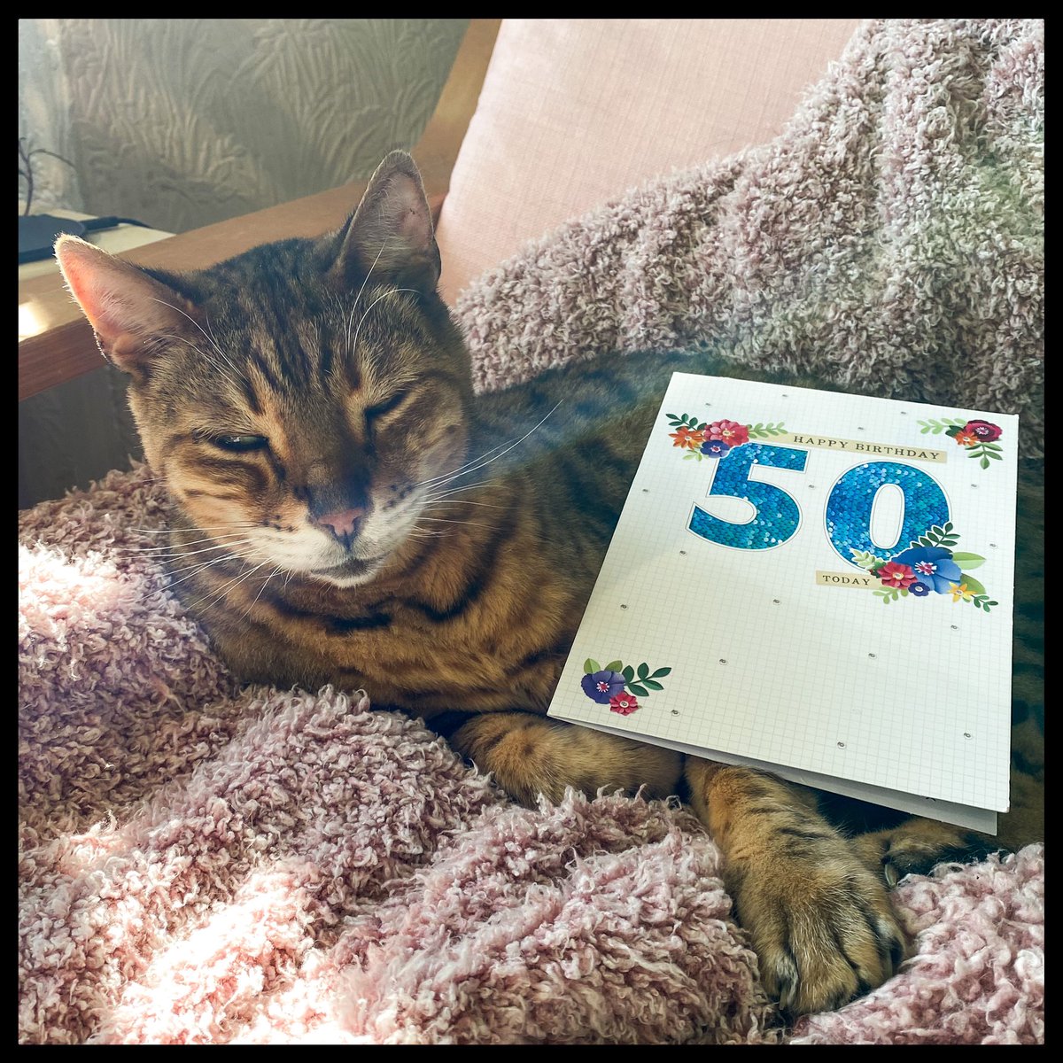 BeaHappyCF's tweet image. Aw I got a lovely birthday card from my ward! 🥰 (J6/Leeds) A big THANK YOU to everyone - that’s so sweet of you all!! 🥰 - and thank you for everything you do 🤗 x @CFLeeds @CFAware @cftrust