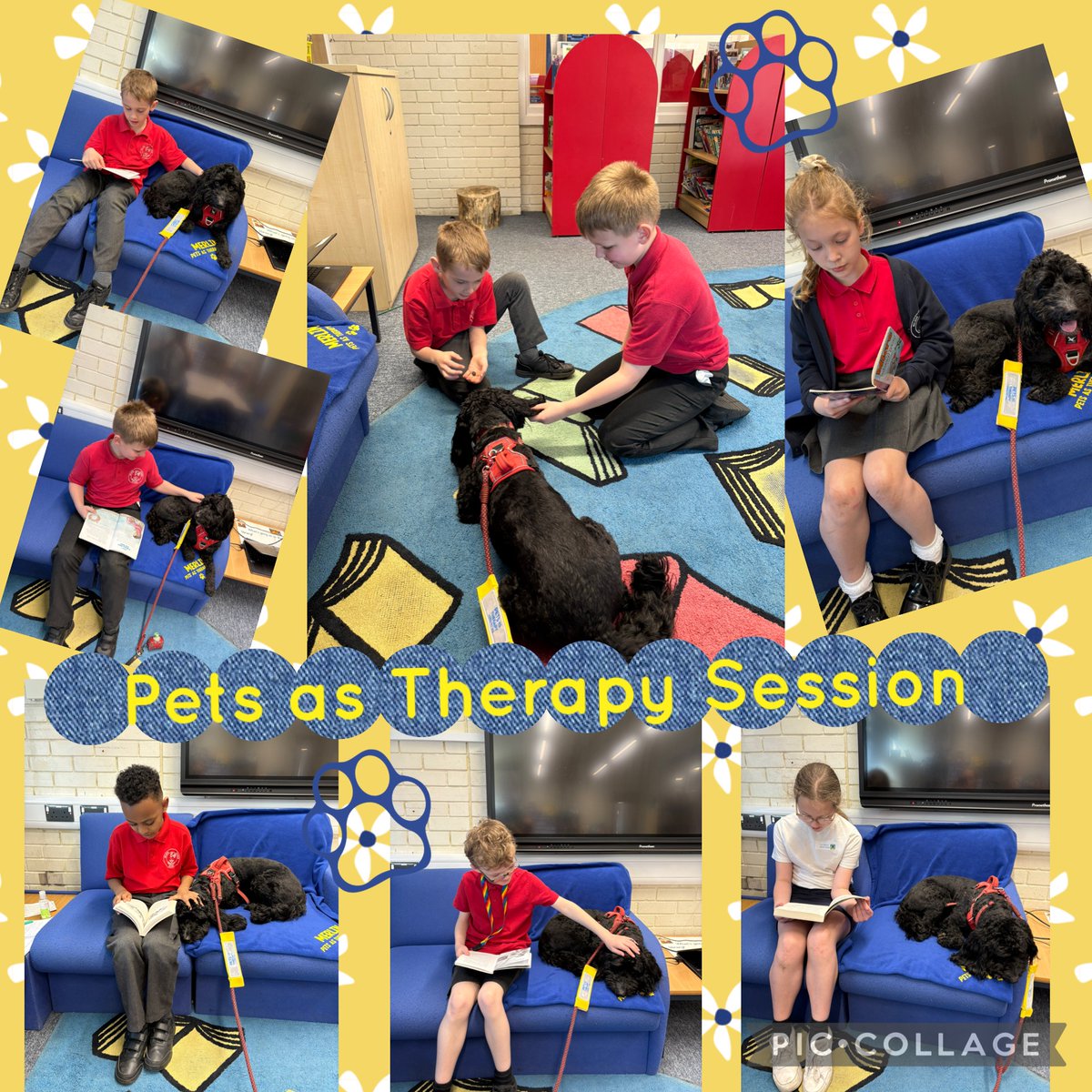 🐾🐕‍🦺📚 Another fab Thursday afternoon! Our very own therapy dog, Merlin came to listen to some of our KS2 children read. The children also got to ask questions about Merlin and give him some treats and strokes! 📚🐕‍🦺🐾 #petsastherapy #welovetoread #exciting