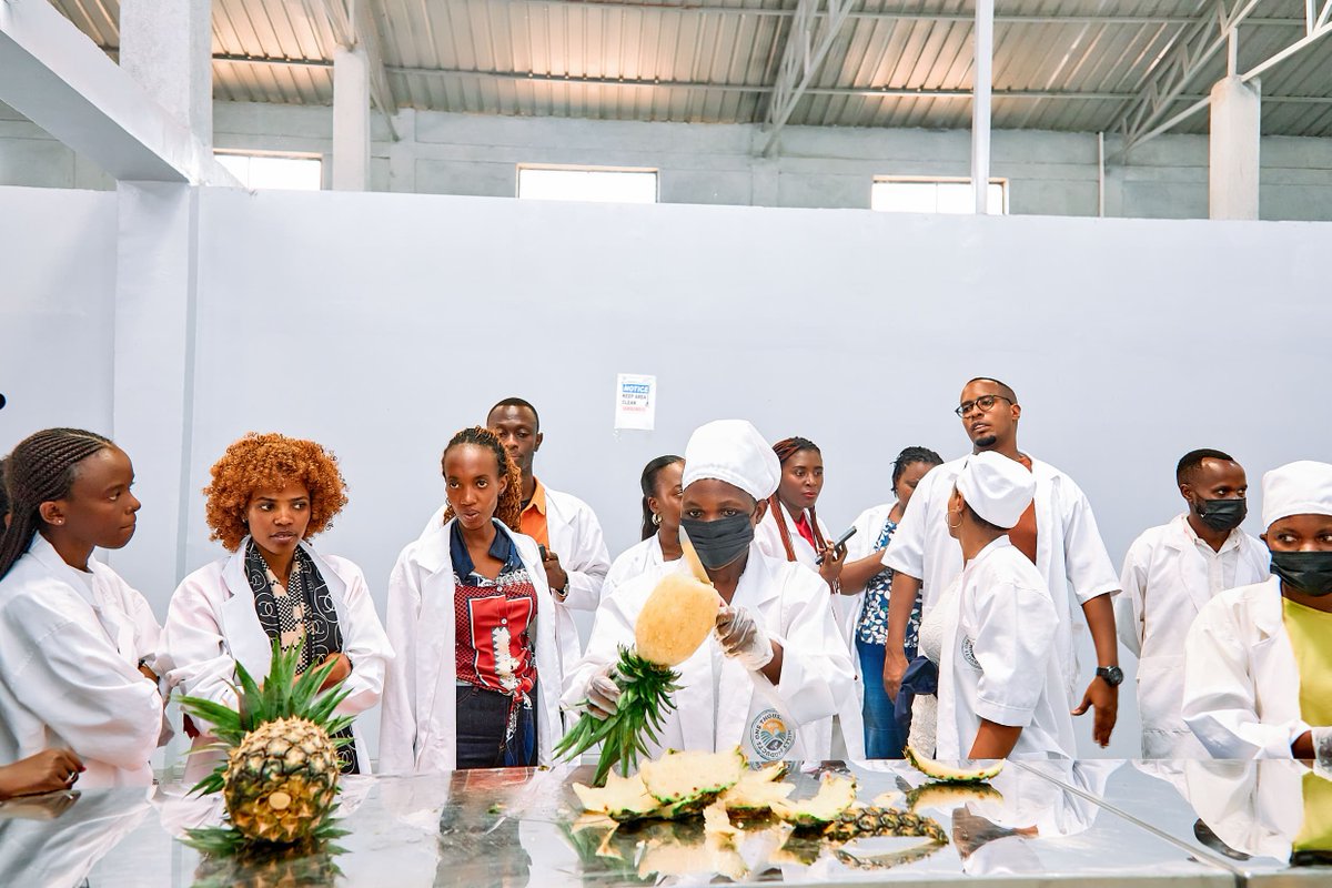 PSF | Specialized Cluster tweet media