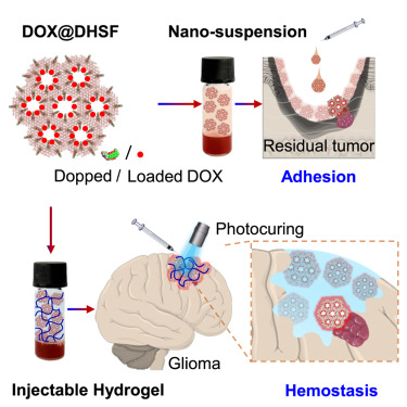Modulating nano-bio interface via drug-framework hybridization to activate chemoimmunotherapy against glioma postoperative recurrence dlvr.it/TJx2mp #biomaterials #bioengineering