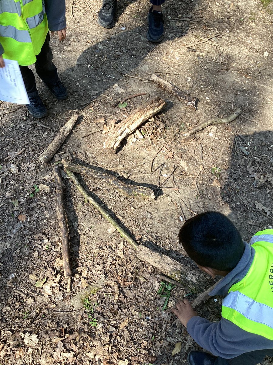 MrsDavisCTS's tweet photo. A fabulous afternoon walk, exploring the woods! Look at all the land art we created. Thank you to all our parent volunteers for accompanying us! We had a great afternoon! ☀️ 🖼 @headcherrytree @CTS_Watford https://t.co/nDkQgEw3YB