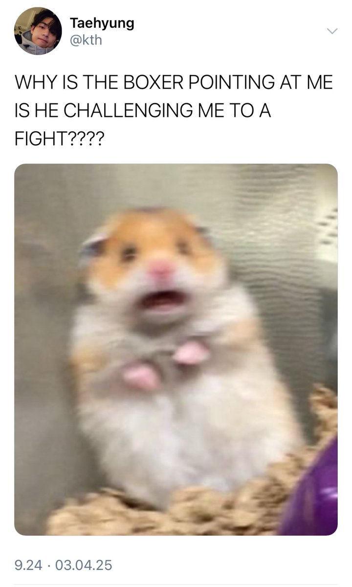 gukkiesvante's tweet image. #taekookau where;

Boxer Jeongguk spots Taehyung in the crowd and immediately wins his match. Convinced that Taehyung is his good luck charm, he makes him attend the next fight, too. 

Taehyung only goes because he thinks Jeongguk is threatening him.