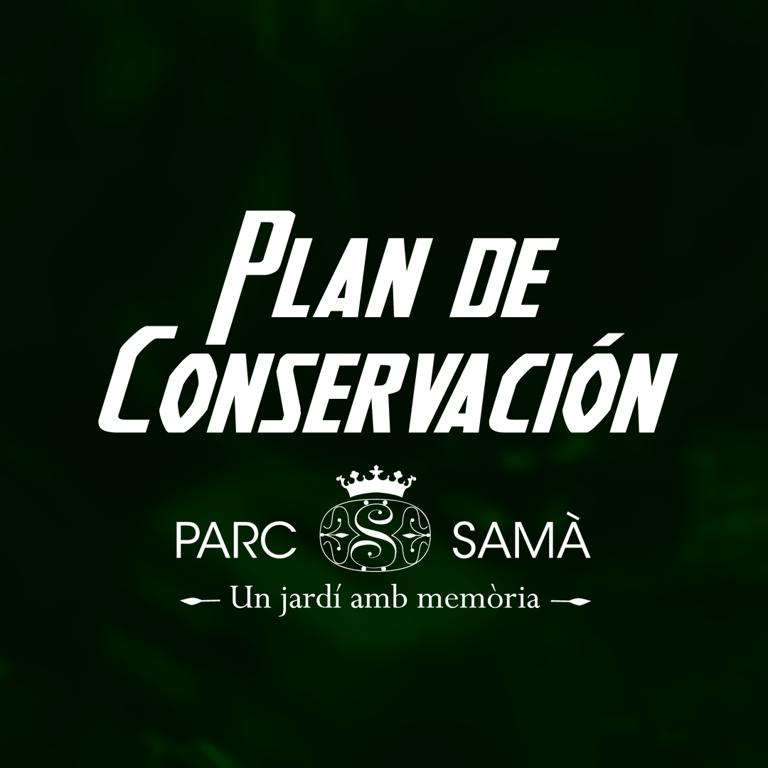 Blanca Cavestany tweet media