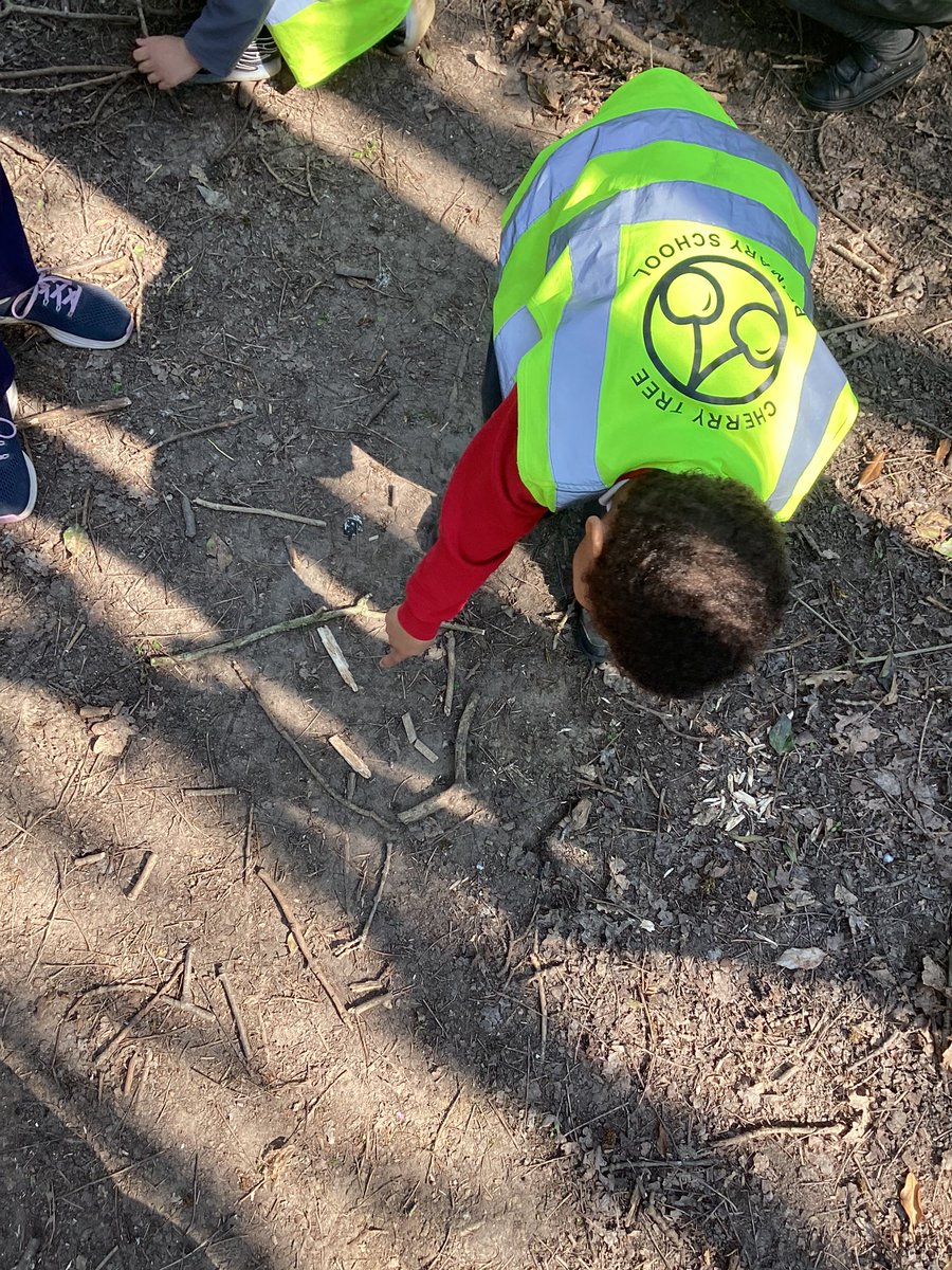 MrsDavisCTS's tweet photo. More land art! ☀️ 🖼 @headcherrytree @CTS_Watford https://t.co/6cV5lEvCmc