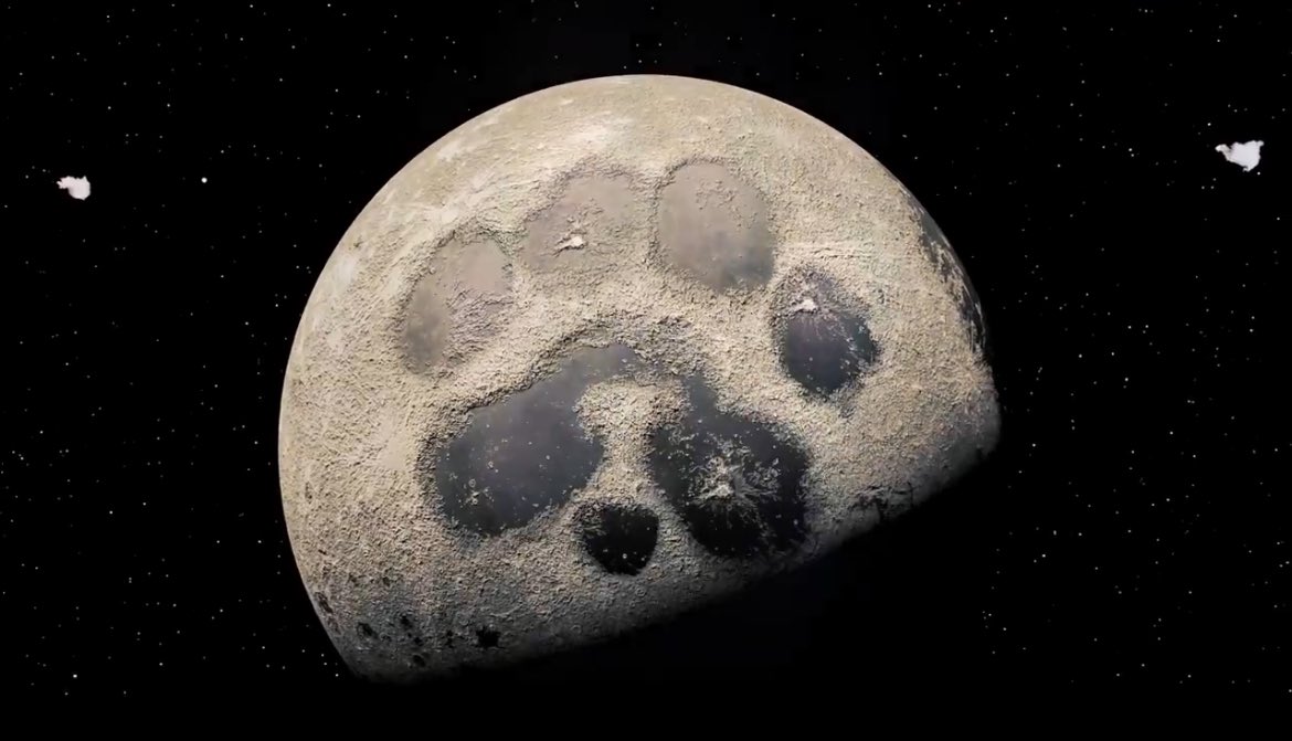 $PAWS Market Cap
$PAWS Price
$PAWS TGE Shift

In the end community will love all these 🫶

Not every delay is bad, some can be proven good for everyone ✌️

#PAWS will prove the shift was taken for fair reasons, actual joy is coming 🔥

$PAWS coded higher 🚀 Did you get the code?