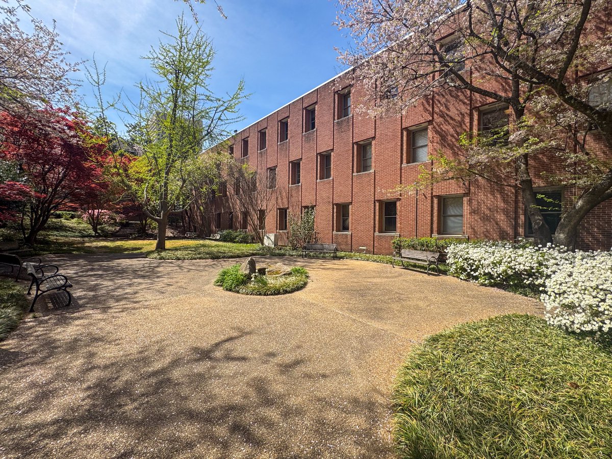 Georgia Tech (@georgiatech) on Twitter photo A touch of Zen in the heart of Georgia Tech. 🏞️🌸 A touch of Zen in the heart of Georgia Tech. 🏞️🌸