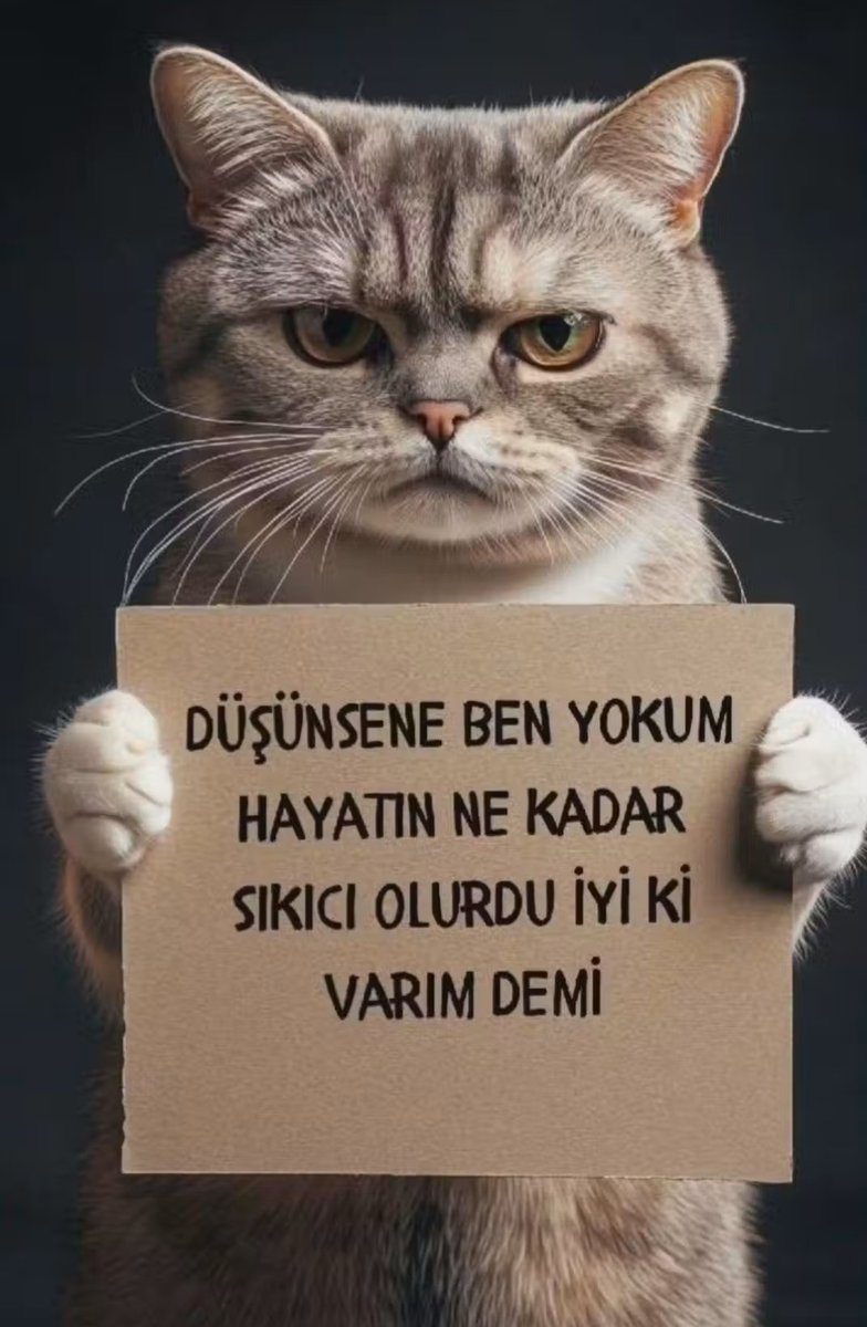 İnsanları tanıdıkça hayvanları daha çok sevmeye başladığımız doğru...