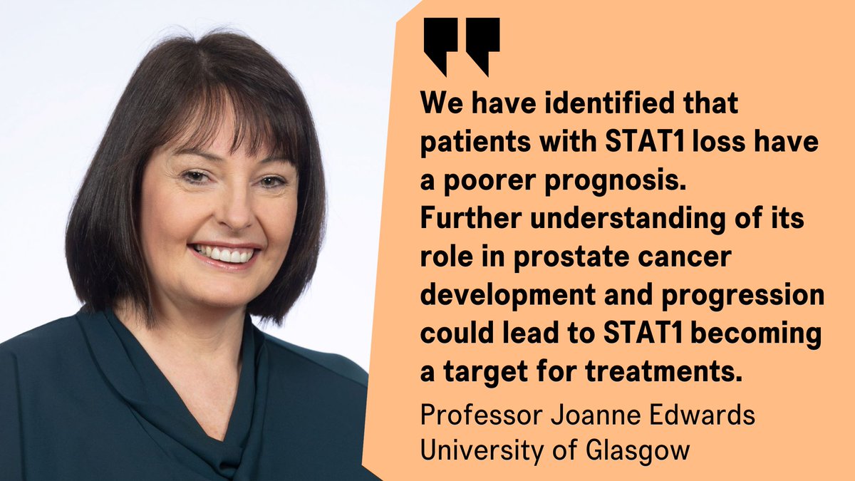 ProstateUK Profs (@prostateukprofs) on Twitter photo Prof. Joanne Edwards' research <a href="/UofGCancerSci/">UofG Cancer Sciences</a> uses advanced models and omics to explore cancer biology and identify treatment targets.
From 2011, we funded Joanne to study whether STAT1 is a targetable tumour suppressor in #ProstateCancer
📙 Read more: prostatecanceruk.org/research/resea… Prof. Joanne Edwards' research <a href="/UofGCancerSci/">UofG Cancer Sciences</a> uses advanced models and omics to explore cancer biology and identify treatment targets.
From 2011, we funded Joanne to study whether STAT1 is a targetable tumour suppressor in #ProstateCancer
📙 Read more: prostatecanceruk.org/research/resea…