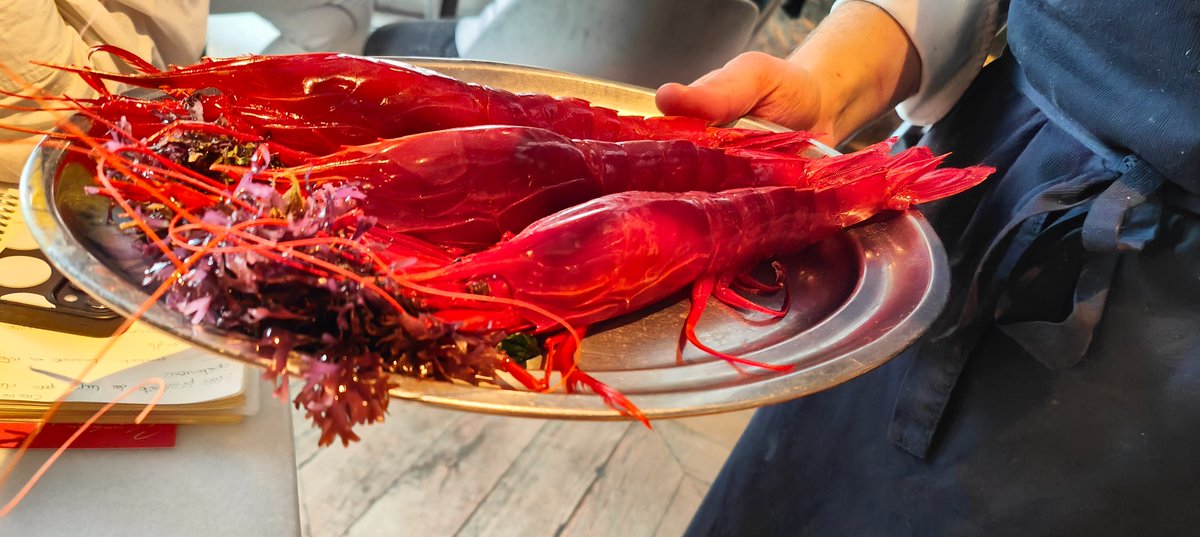 - Carabineros de La Santa.

Los carabineros de La Santa pueden pesar entre 120 y 200 grs aproximadamente, se pescan con nasas a más de 700 metros de profundidad y es difícil conseguir más de 30 o 35 kgs al día.