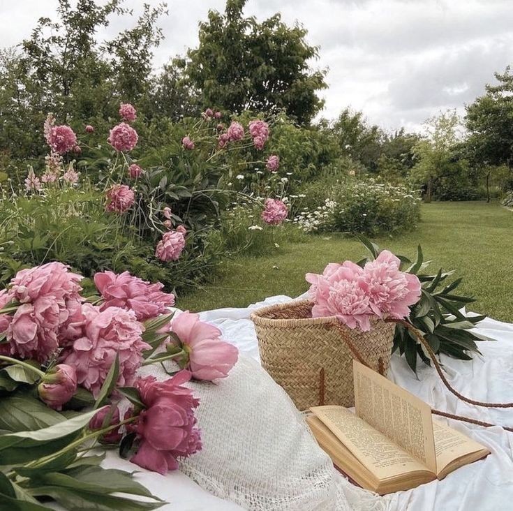 ethceals's tweet image. test, masuk ht tidak? #zonauang