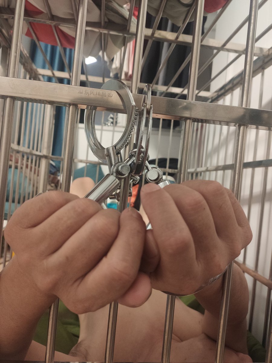 男主找奴，男女均可，武汉光谷广场附近独住  170 60 32 ，有手铐 狗笼子 绳子等工具，但并不依赖工具。喜欢生活化伺候 看中按摩 口 家务 脚垫踩踏 等。也接受物化奴 安安静静放置，但需要固定见面频率。生活化会有调教，但不以调教为主。可以圈养，也可以半圈养。qq2281316079