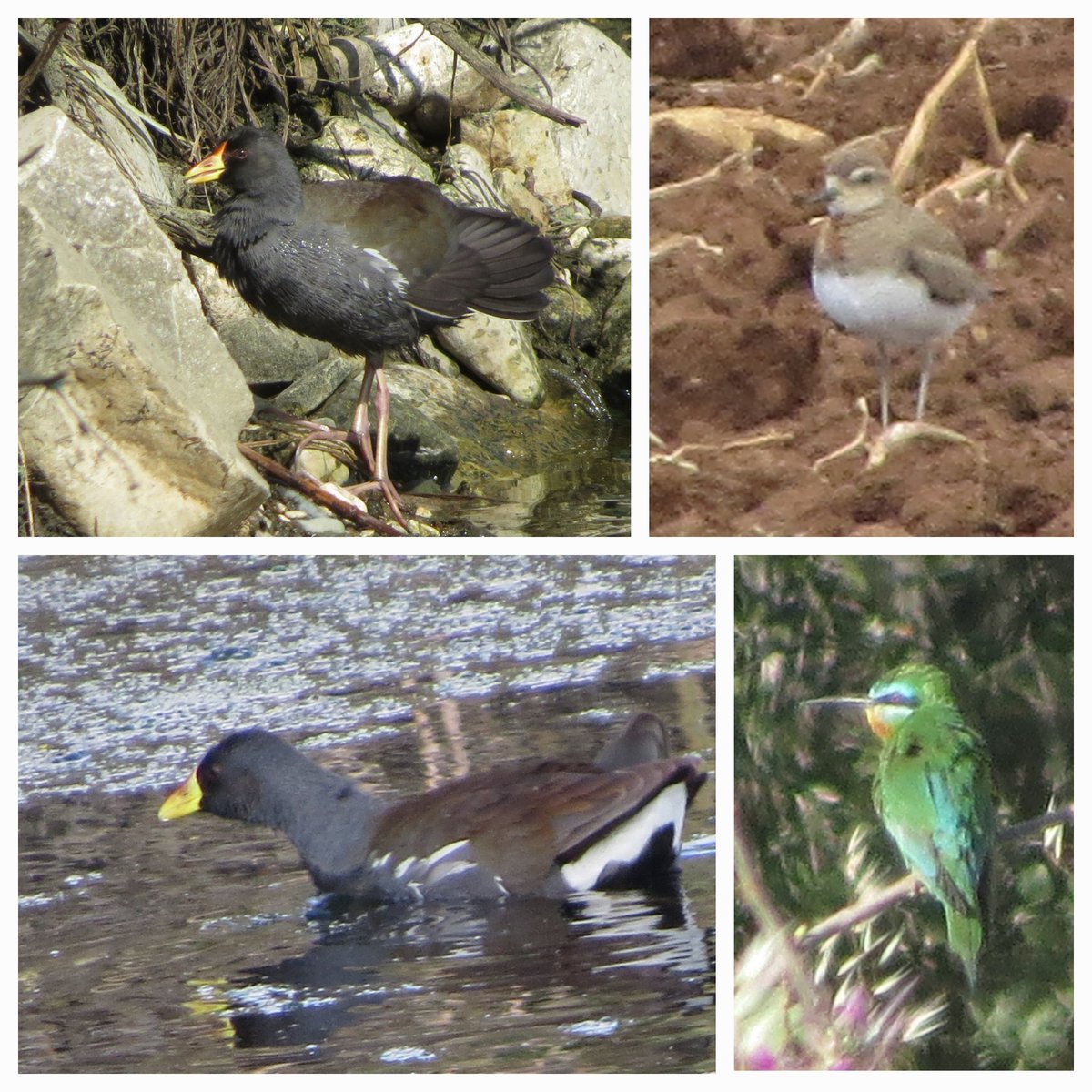 A nice first day on Cyprus.