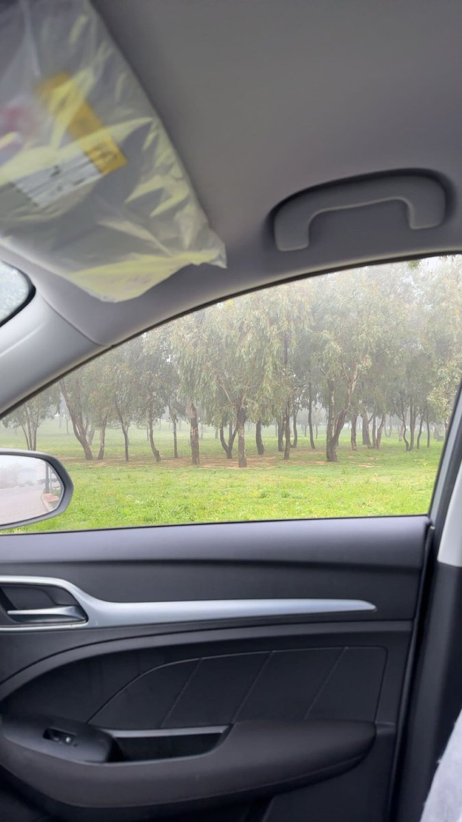 F9But's tweet image. 