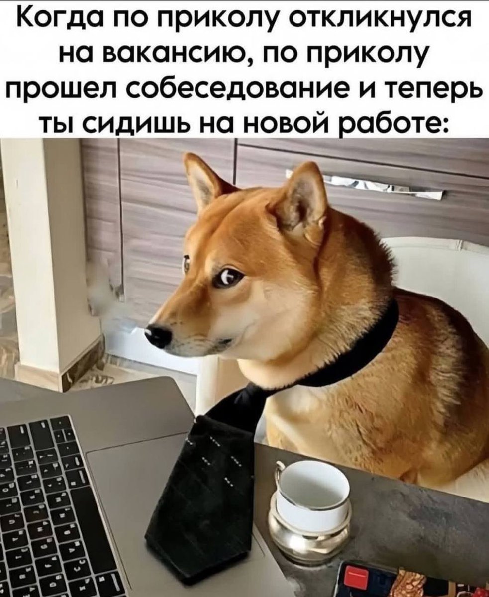 yaplakalcom's tweet photo. https://t.co/pIjtsXV7OF