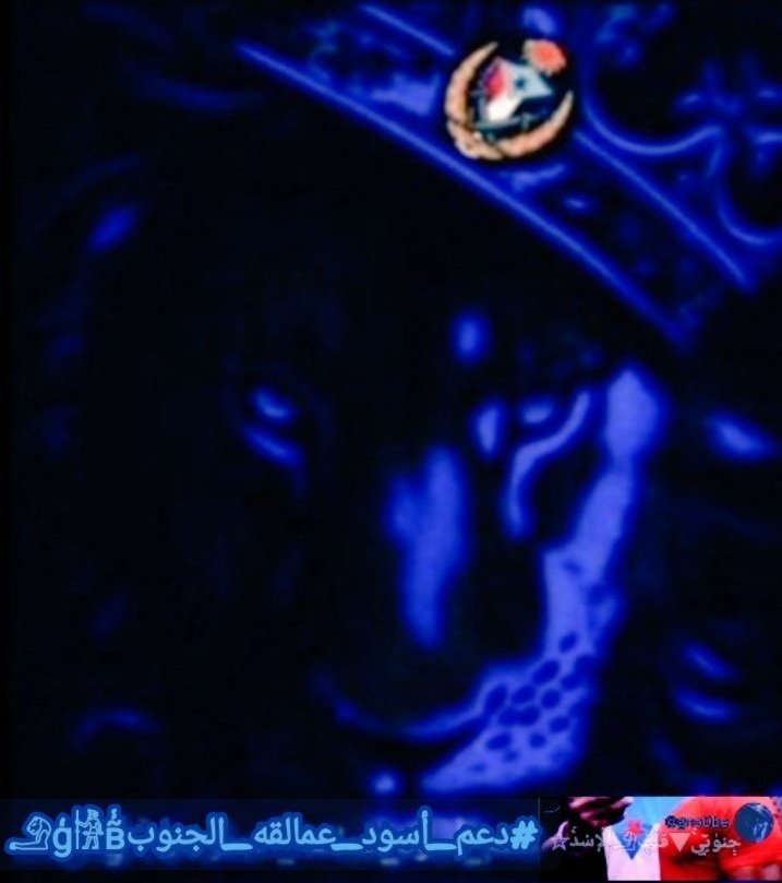 ﷽🕋
#𓄂ģ𓀛Ђ
<a href="/7tttJ/">ᘓɹ̇ɹ̤jɺI g͠ᓄɹɹɹ</a>
<a href="/1_i_1i/">🔥🅰️ 🇩 🅰️ 🇲🔥</a>
<a href="/Bl6lI/">انيق♩♥</a>
@7jji__
<a href="/i4FF_/">ƨαш</a>
<a href="/j4v5k/">عااشق554956933الزعيم</a>
<a href="/rtuwc/">Amer</a>
<a href="/ks35z/">Al -Haytham</a>
<a href="/zz95g/">طارق بن شرحي اليافعي</a>
<a href="/nor3rh/">💎Nor elrhman💎</a>
<a href="/n95650/">لمياء الشهراني</a>
<a href="/ms_tt00/">Hertlein Guillaume 𝕏</a>
<a href="/SsaSM7/">السامريه</a>
<a href="/SwtBdyl/">صوت الجنوب الحر حساب بديل</a>
@hmdf010
@lrllrl185135
<a href="/al_hmzy_70/">اعزالناس اليزيدي</a>
<a href="/bsrlyfylyfy1/">الشيخ نصر البركاني اليافعي</a>
<a href="/1smara1973/">امير الذوق والرقه___( مقيد متابعات...لاتلغي سأرد)</a>
<a href="/algazy11188/">.f.G.Alotaibi</a>
<a href="/Doctor0016/">𝙳𝚘𝚌𝚝𝚘𝚛 ☄</a>
@ahmmed3251
<a href="/lmrfdylmrfdy1/">ابو قيس المرفدي</a>
<a href="/alhassany1964/">محمد الحسني</a>
<a href="/Abdoalhaki7575/">ابن اليزيدي</a>
<a href="/leN5LY4xnTlcWel/">أحمد قايد السيلاني</a>