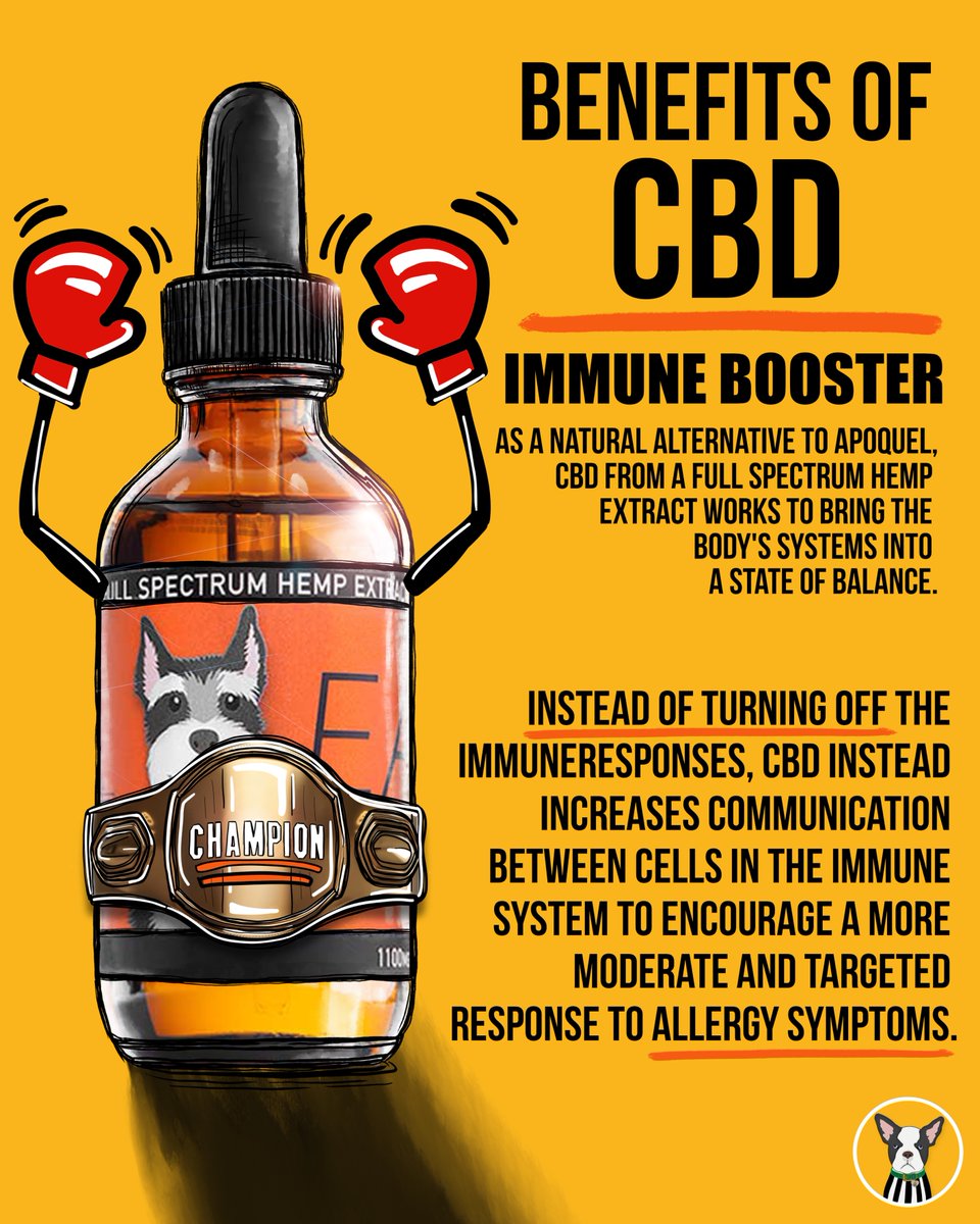 🌿 Tired of the itching, redness, and constant paw licking?  🐶 Unlike Apoquel and Cytopoint, which merely masks allergy signs, full spectrum hemp extract CBD Oil is a game-changer, offering holistic relief that targets allergies at their source. 
 cbddoghealth.com/cbd-vs-apoquel/