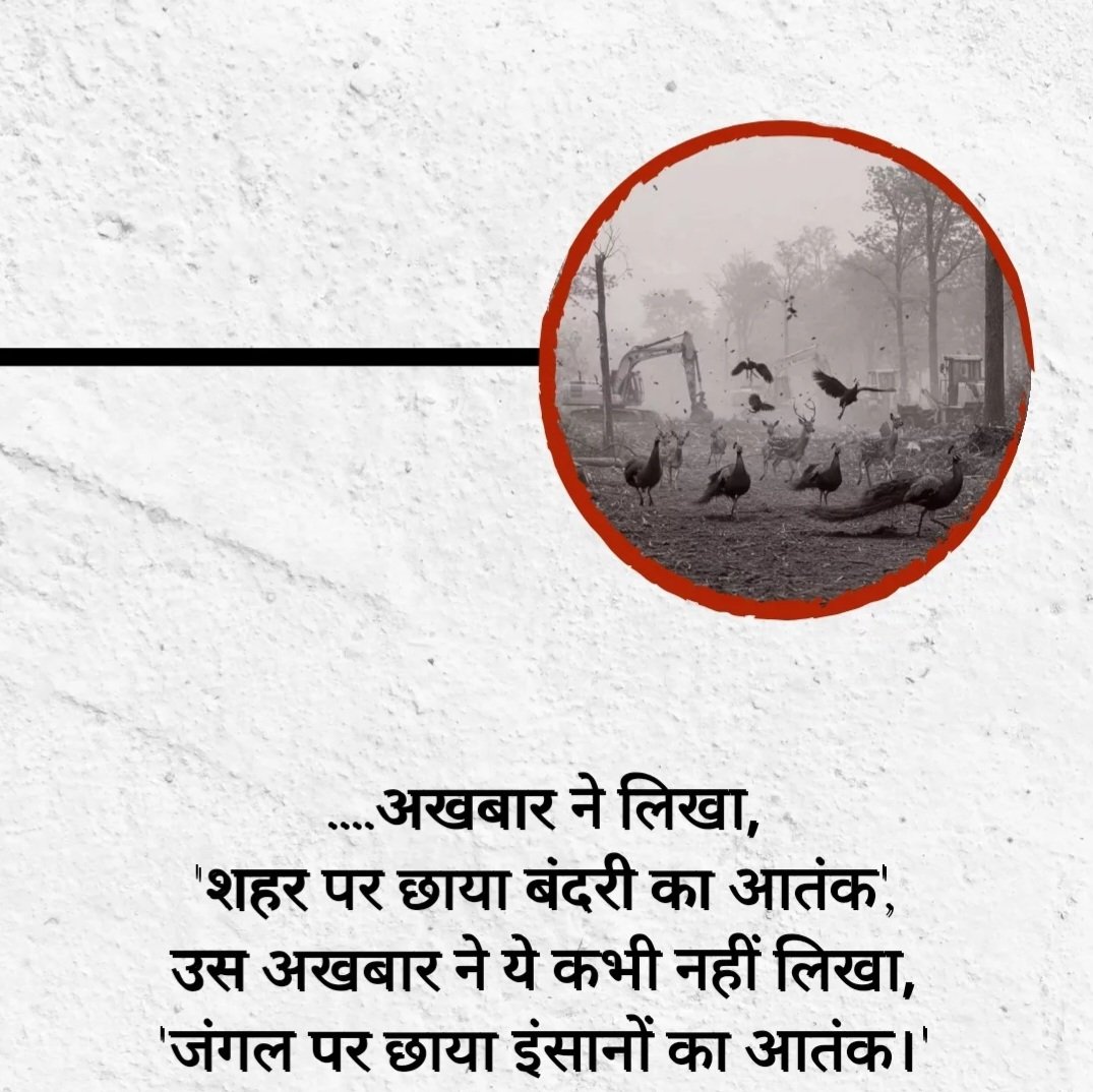 DeepeshMis43068's tweet photo. @DainikBhaskar @aajtak @ZeeMPCG #NEWS #SaveHCU #jungle #NatureLovers #SaveWildlife #savenature #save #trees #Development #animals #TrendingNow #junglecutting https://t.co/viSbJSqsZZ
