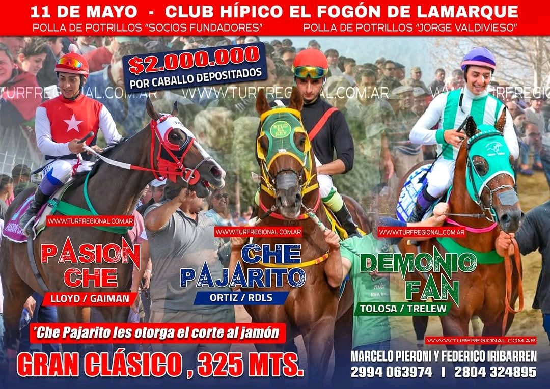 LucasVi18257534's tweet photo. Ai vamos de nuevo pasión che contra todos los pronósticos..! 💪💪 Demuestre chikita 🍀🍀🍀 https://t.co/v695MCv6mB