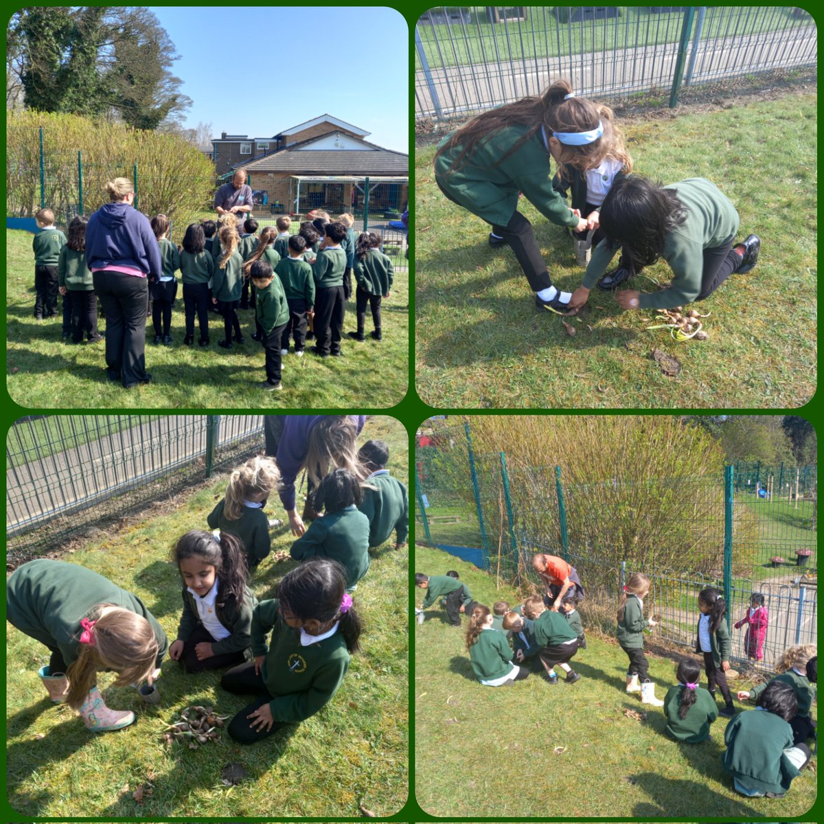 olvschool's tweet photo. #OLVY1 had a fantastic time planting in the sunshine this afternoon. They learnt all about bulbs and the correct way to plant them. We can't wait to see the flowers next year! #OLVScience #outdoorlearning #bestdaysoftheirlives @bcw_cat https://t.co/VrsKOvs6k3
