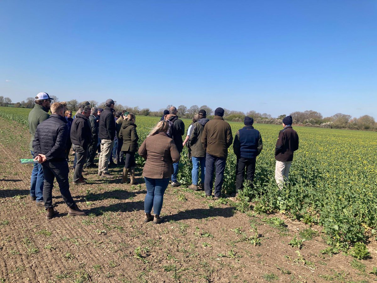 cereals_sw's tweet image. Not for the faint of heart yesterday (in the wind) but a stoic crowd were rewarded with some pearls of wisdom from the growing & grazing cover crops dream team. Thanks all, especially @JoMatt_Germinal @ExlanaSheep and host Bob! @AHDB_Cereals