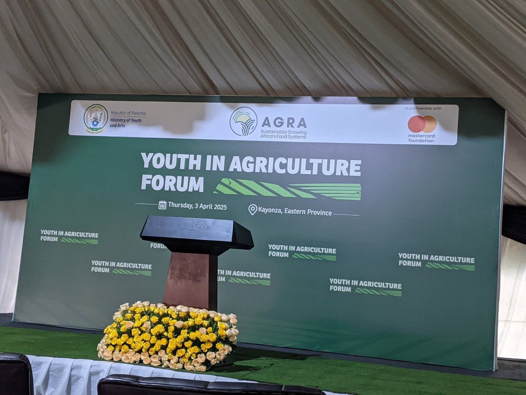 YEAN_Agro's tweet photo. Today The Eastern Province Consortium that implement YEFFA program in the @RwandaEast Province joined the Ecosystem partners for the launch of the first edition of the Youth in Agriculture Forum Series, led by the @RwandaYouthArts in partnership with @AGRA_Africa. Held in Kayonza today, This forum raises awareness on opportunities for young people in the agri-food system and strengthen supports for their entrepreneurial journeys. 

Over the past 12 months, YEAN under Eastern Consortium provided interventions to 6,085 young farmers in the seven districts of the eastern province

 #YouthInAgriculture #FoodSecurity #AgriFoodSystem #YEAN #AGRA #Rwanda
#mastercardfoundation