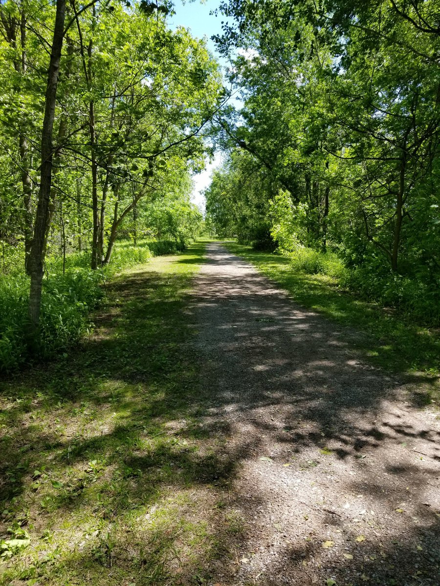 Reminder to all residents and visitors!

Please stay out of all Township parks and off of trails at this time to keep everyone safe. 🌳 

We're also asking everyone to refrain from entering the Lakefield Campground as we continue our clean-up efforts.

Thank you.