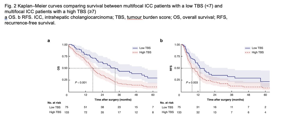 Tumour burden predicts outcomes after curative resection of multifocal intrahepatic cholangiocarcinoma
➡️ doi.org/10.1093/bjs/zn…

Liver resection for multifocal intrahepatic cholangiocarcinoma (ICC) remains controversial due to a poor prognosis, but this study highlights the