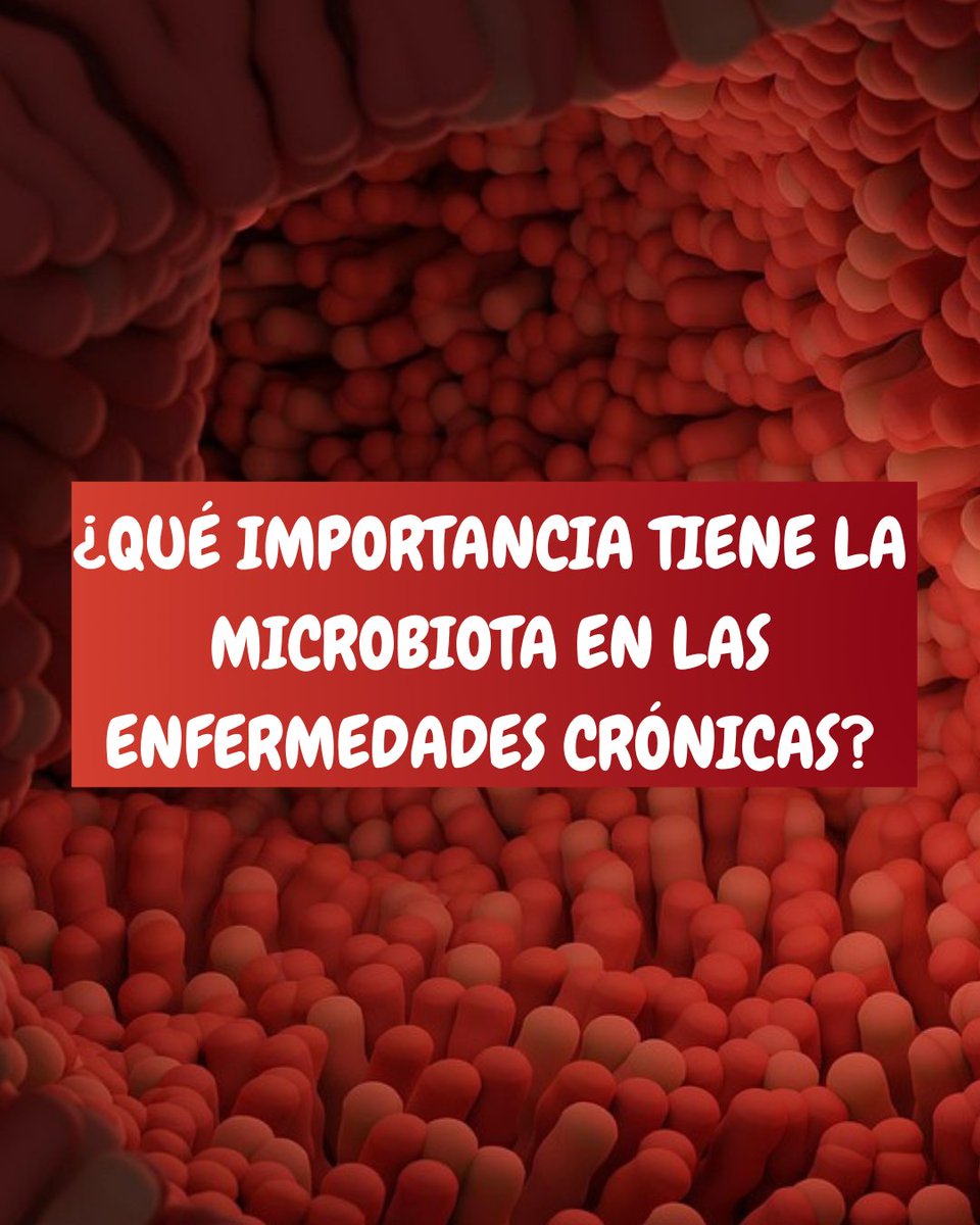 ibtugr's tweet image. La microbiota intestinal, es esencial para el mantenimiento de la salud humana. Está estrechamente relacionada con diversas enfermedades crónicas como la diabetes, las enfermedades cardiovasculares y los trastornos neurológicos.
biotech-spain.com/es/articles/el…