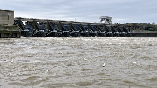 Heavy rains in Middle TN! 🌧️ USACE reports dams working to manage water flow, but some rivers (Harpeth, Red) &amp; creeks seeing flash flooding. Clarksville flood risk. Cheatham Lock closed. Stay safe, avoid flooded roads. More info: army.mil/article/284404… #NashvilleWeather #USACE