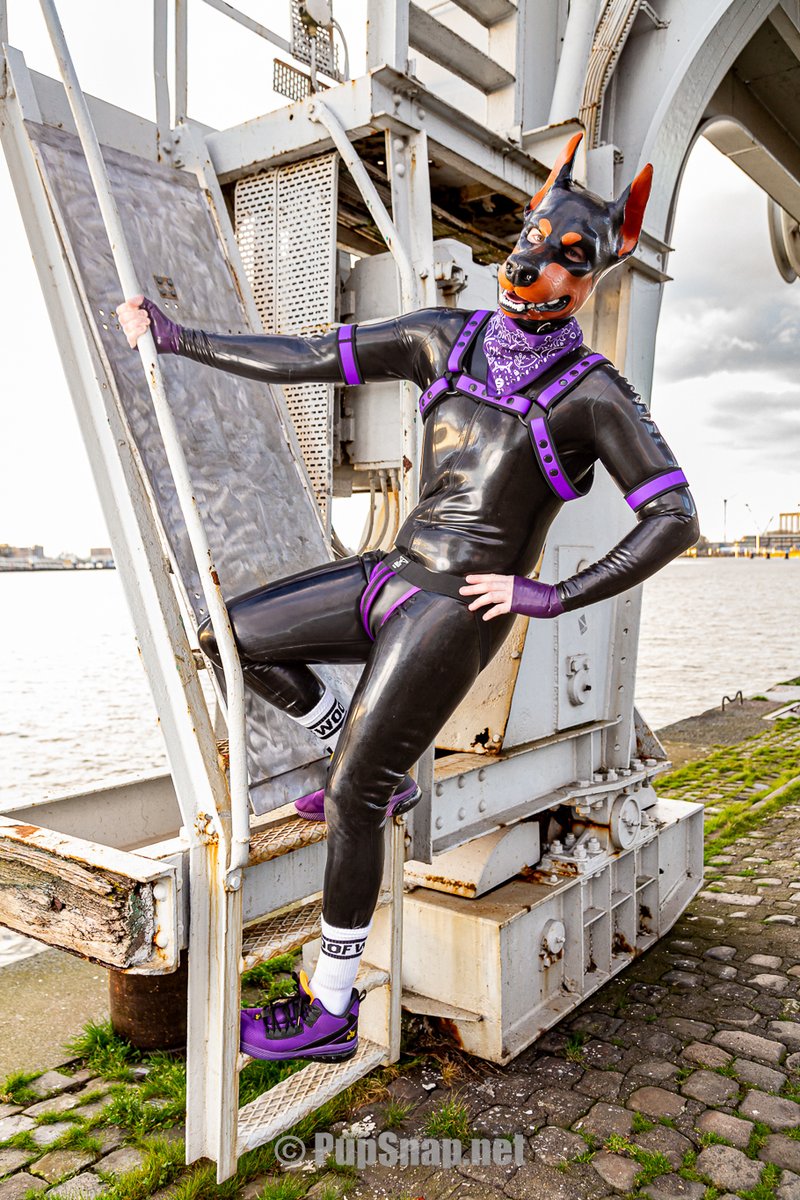 📸: <a href="/PupSnapUK/">Pup Snap 📸🐾</a>