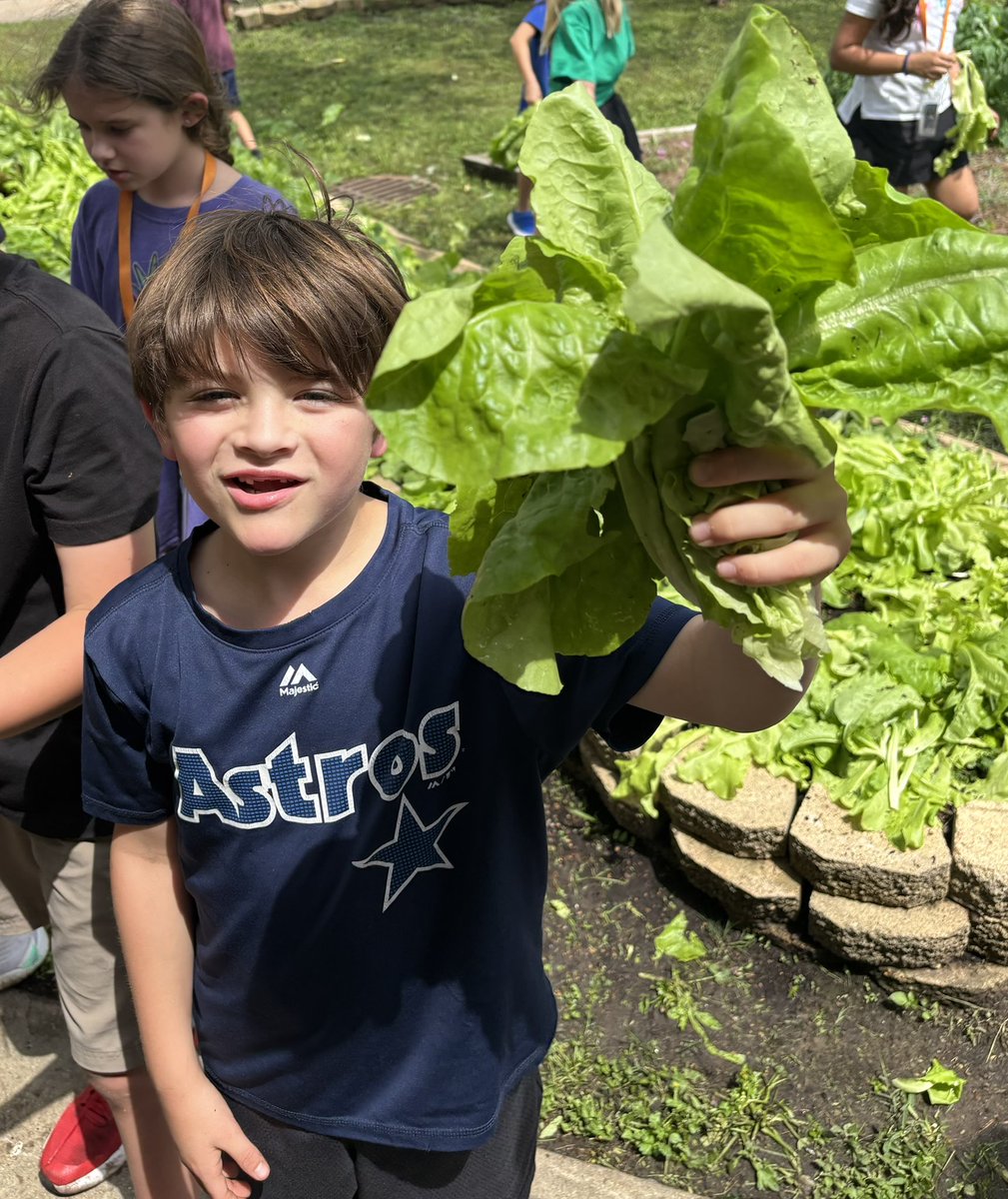 Elaine Winger (@wingerrtgg) on Twitter photo Sampson stallions are so proud of their harvest today. <a href="/readygrowgarden/">Ready to Grow Garden</a> <a href="/SampsonPTO/">Sampson PTO</a> <a href="/SampsonElem/">Sampson Elementary</a> <a href="/heathermotzny/">Heather Motzny</a> Sampson stallions are so proud of their harvest today. <a href="/readygrowgarden/">Ready to Grow Garden</a> <a href="/SampsonPTO/">Sampson PTO</a> <a href="/SampsonElem/">Sampson Elementary</a> <a href="/heathermotzny/">Heather Motzny</a>