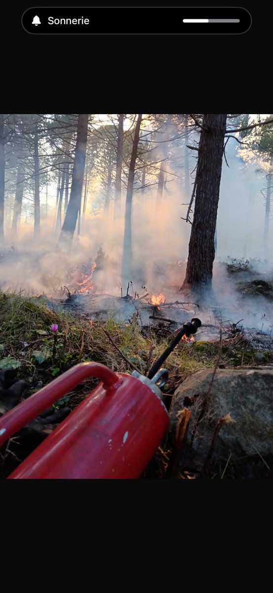sis_2b's tweet photo. L’équipe inter services de brûlage dirigé mobilisée à Solaro, Chisà, et Zicavo et Mocca-croce sur 5 cinq chantiers en 2A et 2B dans le respect de la richesse de la biodiversité de montagne. #Forestiers sapeurs, #collectivité de Corse, #ONF. https://t.co/F3N8k9p5FR