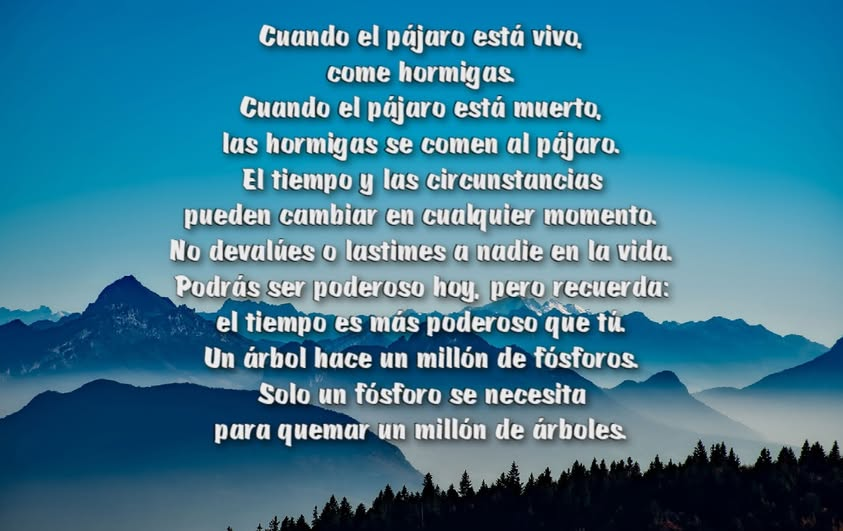 NaveAsens's tweet photo. https://t.co/2GPu1cw47i