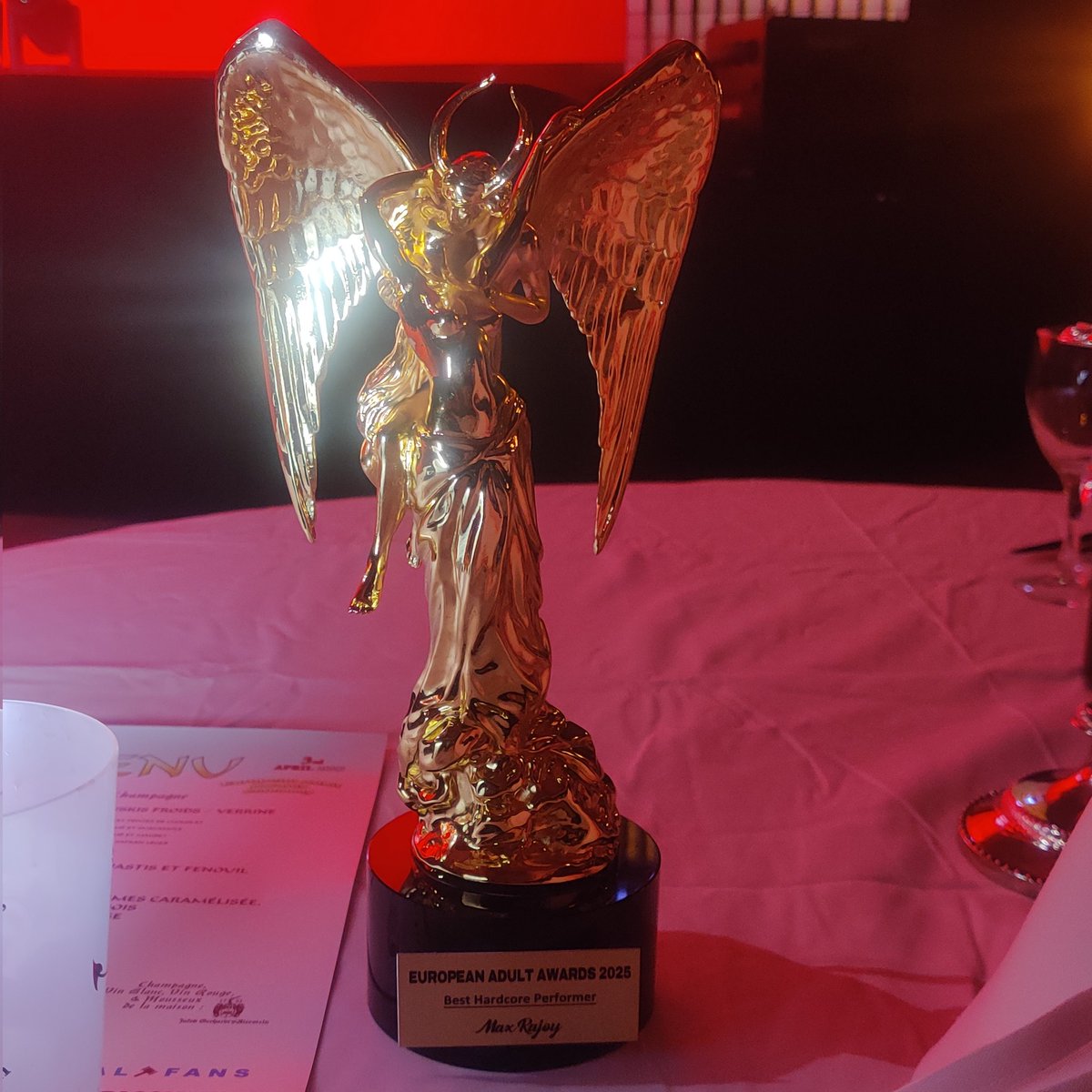 Thank you erotica-bruelles.be for the awards BEST Hardcore Performer 🙏🏾🙏🏾🙏🏾🙏🏾🙏🏾 blessed