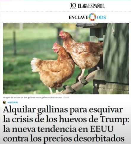 ALQUILER DE GALLINAS
La crisis provocada por Donald Trump crea la tendencia de alquilar gallinas para obtener huevos. Muy pronto se iniciará el alquiler de vacas para obtener leche.
