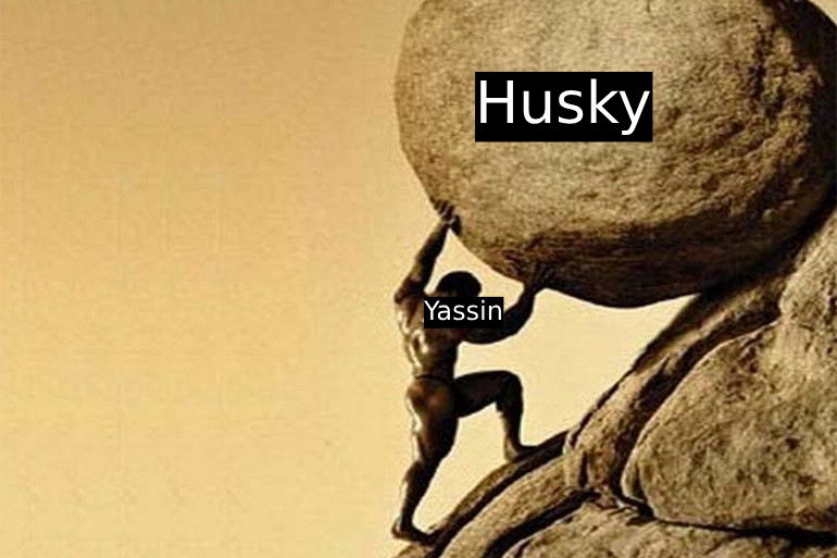 Husky tweet media