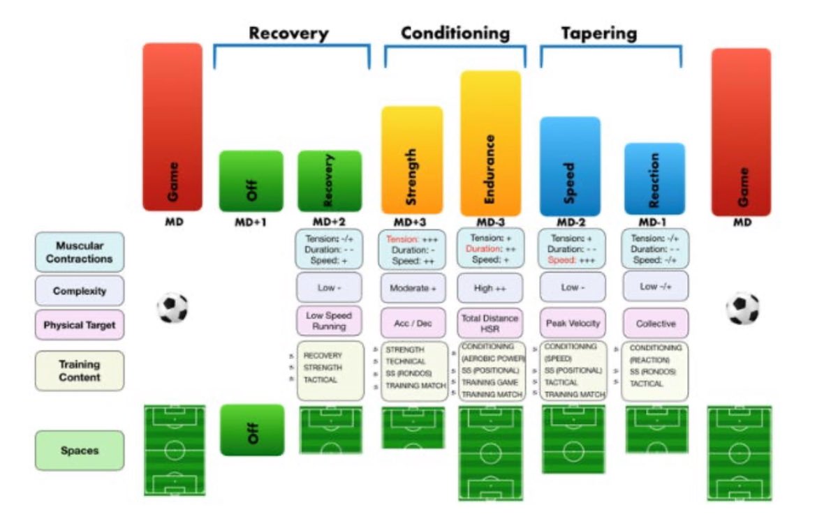 JOGOFUNCIONAL1's tweet photo. These exercises are done on days where mental/physical fatigue is at its highest. ‘According to logic of Periodisation’ players should not use much energy navigating these actions

Sports Science significantly effects session planning, we follow rigid micro cycles to the letter https://t.co/nW0A4V1zUz