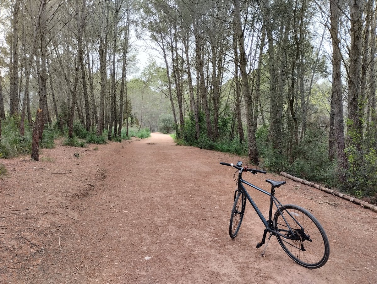 jairoalonso (@jairoalonso) on Twitter photo DIA 03 DE 30. Gaudint de camí a la feina pels camins de la Riera de Canyars i el Calamot. #aturemelpladeponent #gavà #30diesAMBbici #30diasenbici #30DOB <a href="/30daysofbiking/">30 Days of Biking</a> <a href="/30diasenbici/">30 Días en Bici</a> <a href="/30diesambbici/">@30diesambbici</a> <a href="/bicicletaAMB/">Bicicleta AMB</a> <a href="/AjCastelldefels/">Ajuntament de Castelldefels</a> <a href="/AjuntamentGava/">Ajuntament de Gavà</a> <a href="/Garmin/">Garmin</a> DIA 03 DE 30. Gaudint de camí a la feina pels camins de la Riera de Canyars i el Calamot. #aturemelpladeponent #gavà #30diesAMBbici #30diasenbici #30DOB <a href="/30daysofbiking/">30 Days of Biking</a> <a href="/30diasenbici/">30 Días en Bici</a> <a href="/30diesambbici/">@30diesambbici</a> <a href="/bicicletaAMB/">Bicicleta AMB</a> <a href="/AjCastelldefels/">Ajuntament de Castelldefels</a> <a href="/AjuntamentGava/">Ajuntament de Gavà</a> <a href="/Garmin/">Garmin</a>