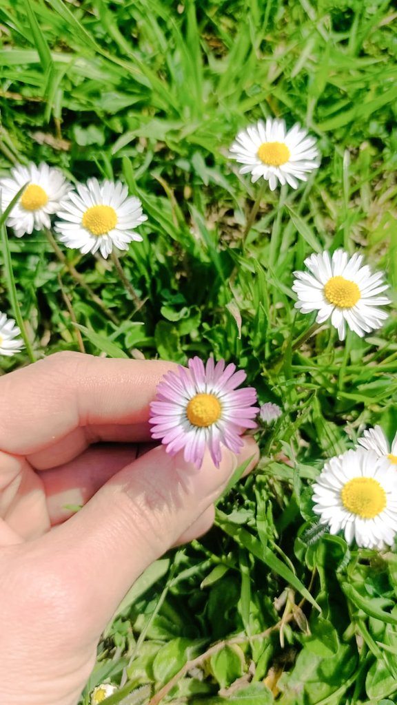 𝙃𝙖𝙩𝙚 𝙞𝙨 𝙚𝙖𝙨𝙮, 𝙡𝙤𝙫𝙚 𝙩𝙖𝙠𝙚𝙨 𝙘𝙤𝙪𝙧𝙖𝙜𝙚.